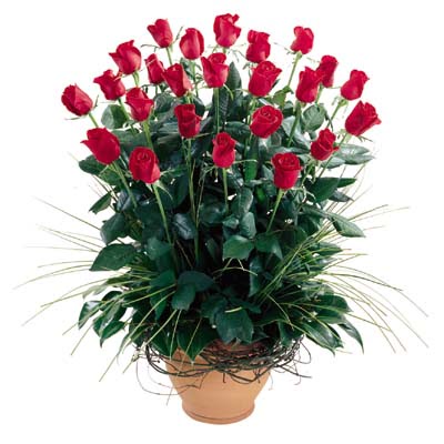  Kayseri çiçek çiçek online çiçek siparişi  10 adet kirmizi gül cam yada mika vazo