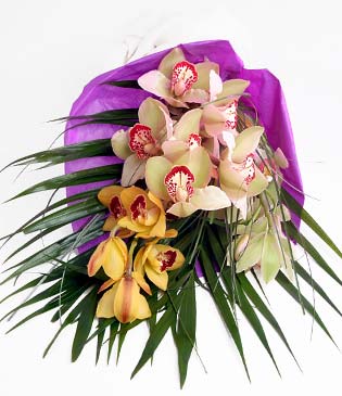  Kayseri iek hediye sevgilime hediye iek  1 adet dal orkide buket halinde sunulmakta
