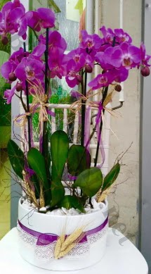 Seramik vazoda 4 dall mor lila orkide  Kayseri iek 14 ubat sevgililer gn iek 