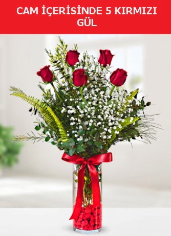 Cam içerisinde 5 adet kırmızı gül  Kayseri çiçek çiçek siparişi vermek 
