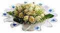 cam günes ve dolunay bembeyaz  Kayseri çiçek çiçek siparişi sitesi 