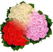 3 renkte gül seven sever   Kayseri çiçek çiçek siparişi sitesi 