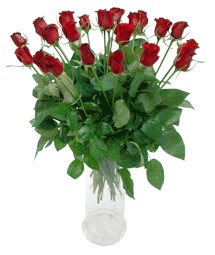  Kayseri çiçek hediye çiçek yolla  11 adet kimizi gülün ihtisami cam yada mika vazo modeli