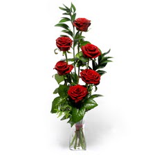  Kayseri çiçek çiçek online çiçek siparişi  mika yada cam vazoda 6 adet essiz gül