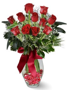9 adet gül  Kayseri çiçek online çiçek gönderme sipariş  kirmizi gül