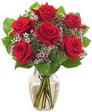 Kız arkadaşıma hediye 6 kırmızı gül  Kayseri çiçek cicekciler , cicek siparisi 