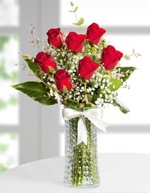Cam vazoda 7 adet kırmızı gül  Kayseri çiçek çiçek siparişi sitesi 