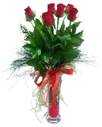 vazo içerisinde 5 kırmızı gül  Kayseri kocasinan çiçek İnternetten çiçek siparişi 