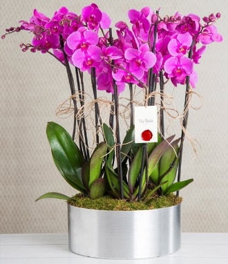 11 dallı mor orkide metal vazoda  Kayseri çiçek çiçek satışı 
